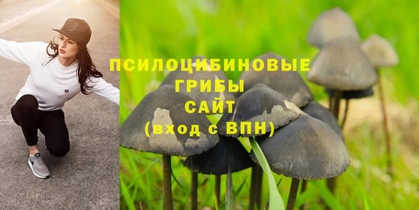 PSILOCYBIN Алексин